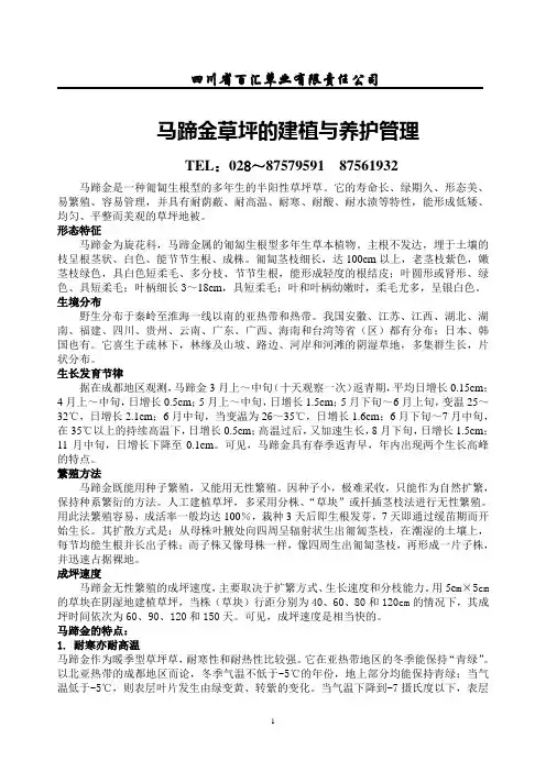 马蹄金草坪的介绍和养护管理-草坪草
