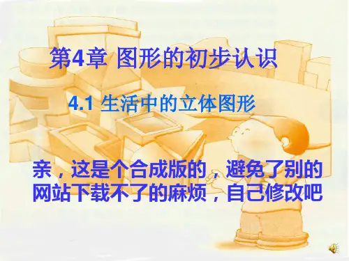 七年级数学上册_生活中的立体图形课件_华东师大版_2