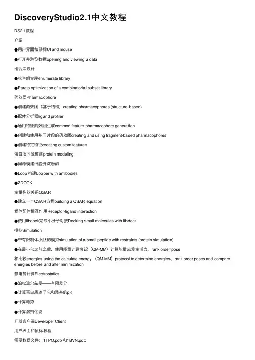 DiscoveryStudio2.1中文教程