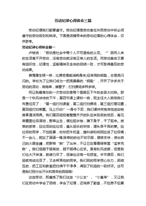 劳动纪律心得体会三篇