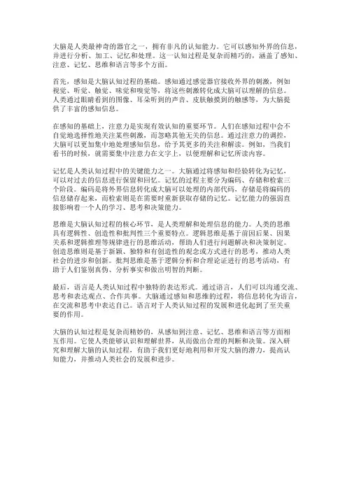 大脑的认知过程