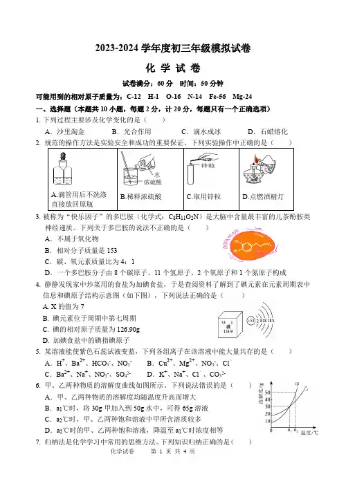 九年级化学模拟试卷
