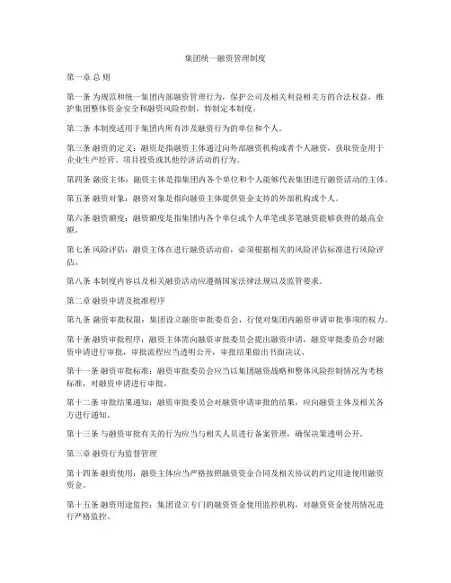 集团统一融资管理制度