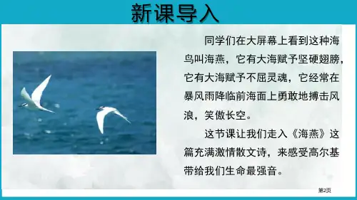 海燕示范市公开课一等奖省优质课获奖课件
