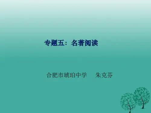 九年级语文《名著阅读》课件