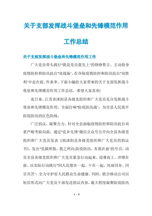 关于支部发挥战斗堡垒和先锋模范作用工作总结