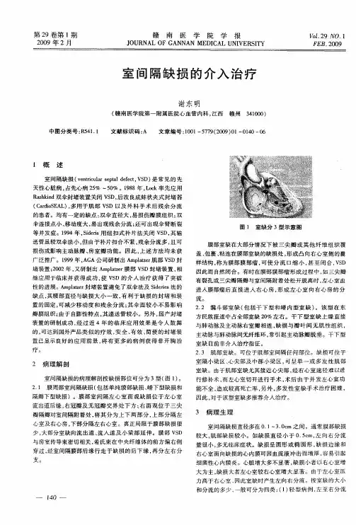 室间隔缺损的介入治疗