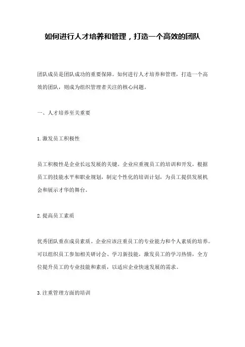 如何进行人才培养和管理,打造一个高效的团队