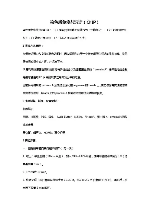 染色质免疫共沉淀(ChIP)实验