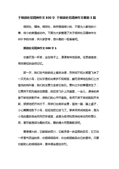 于细微处见精神作文800字