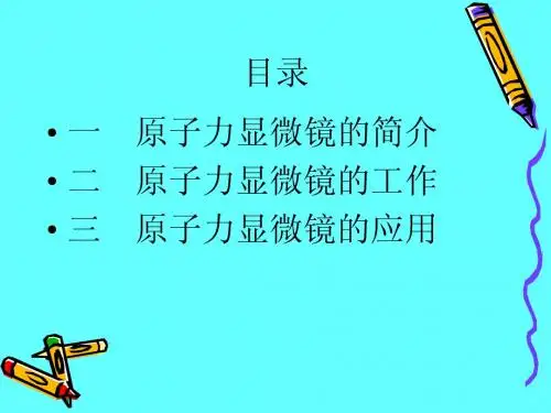 原子力显微镜