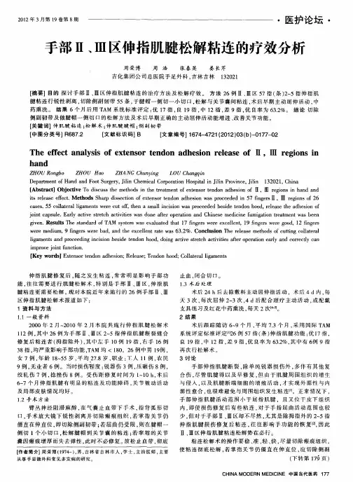 手部Ⅱ、Ⅲ区伸指肌腱松解粘连的疗效分析
