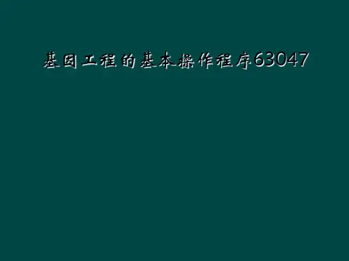基因工程的基本操作程序63047