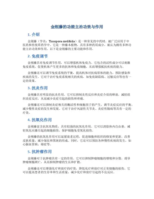 金刚藤的功能主治功效与作用