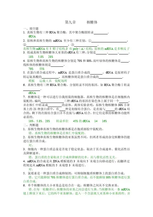 答案--9.核糖体