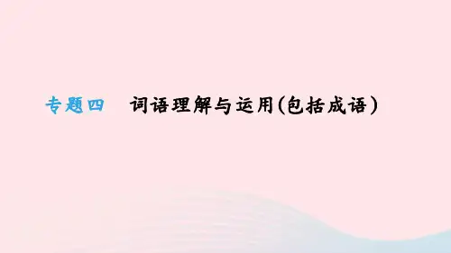 中考语文总复习二积累与运用专题04词语理解与运用包括成语课件