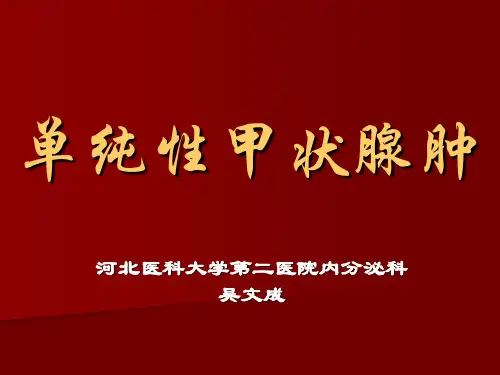 单纯性甲状腺肿PPT