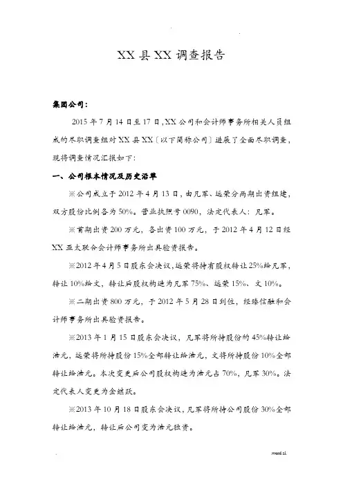 某燃气公司尽调报告