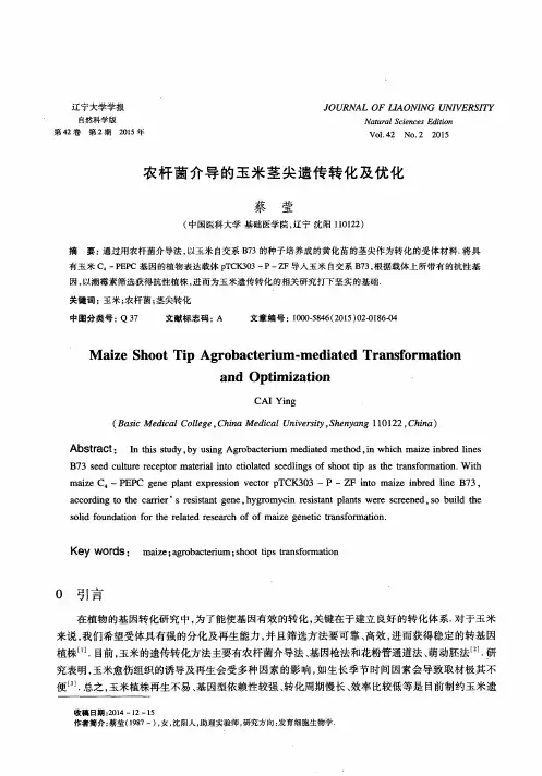 农杆菌介导的玉米茎尖遗传转化及优化