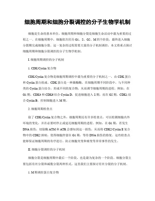 细胞周期和细胞分裂调控的分子生物学机制