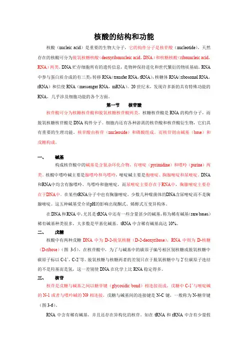 核酸的结构和功能《生物化学》复习提要