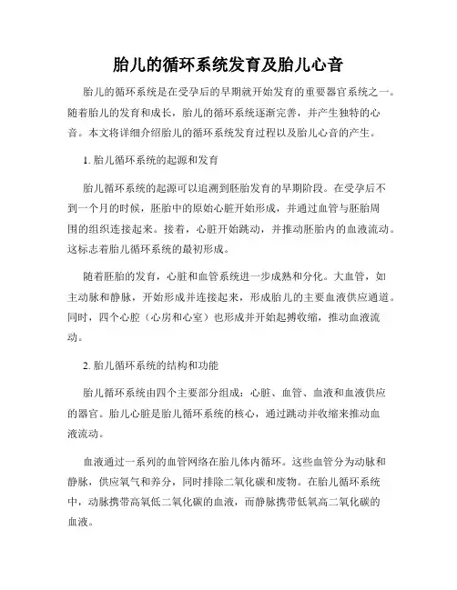 胎儿的循环系统发育及胎儿心音