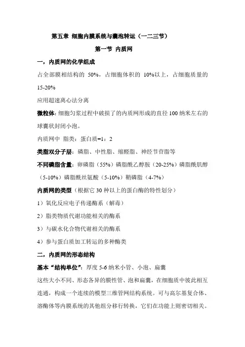 细胞生物学第五章总结