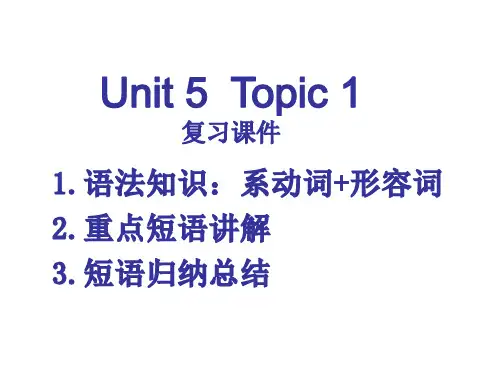 仁爱版八年级下册 Unit5 Topic1 复习课件 (共33张ppt)