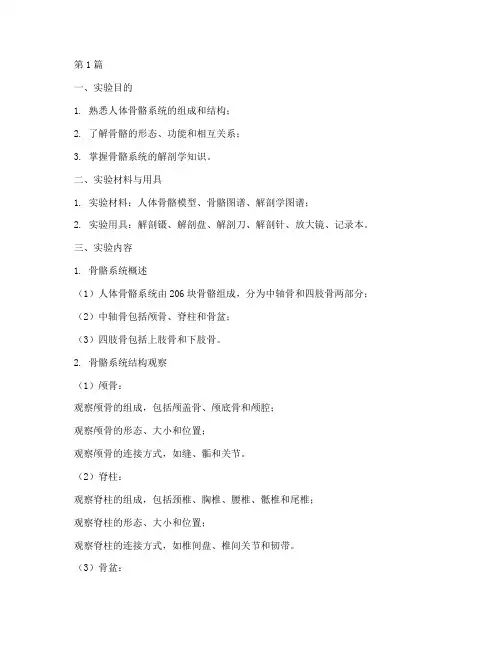 实验报告全身骨骼观察(3篇)