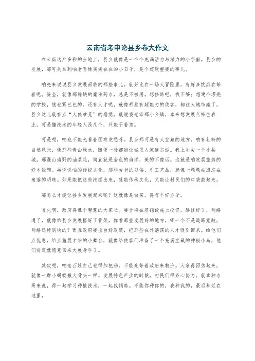 云南省考申论县乡卷大作文