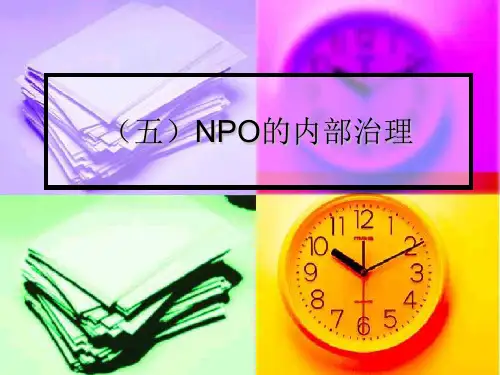 (五)非营利组织的内部治理