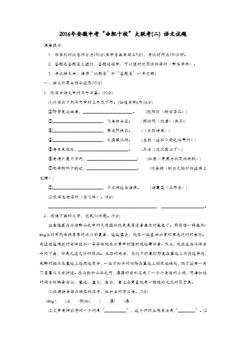安徽省2016年中考语文“合肥十校”大联考试题(二)