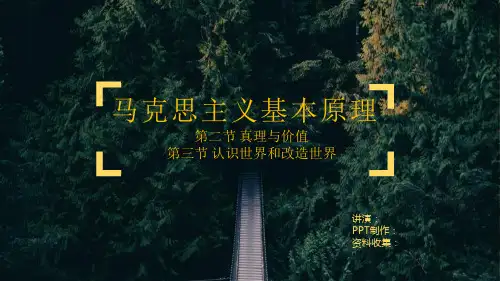 马原小组PPT