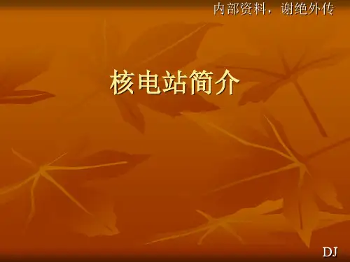 国内CPR1000核电技术详细介绍