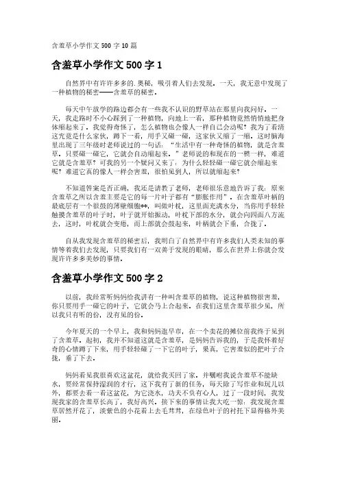 含羞草小学作文500字10篇