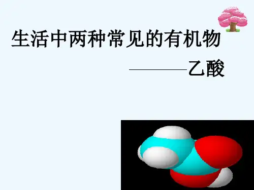 乙酸课件 PPT