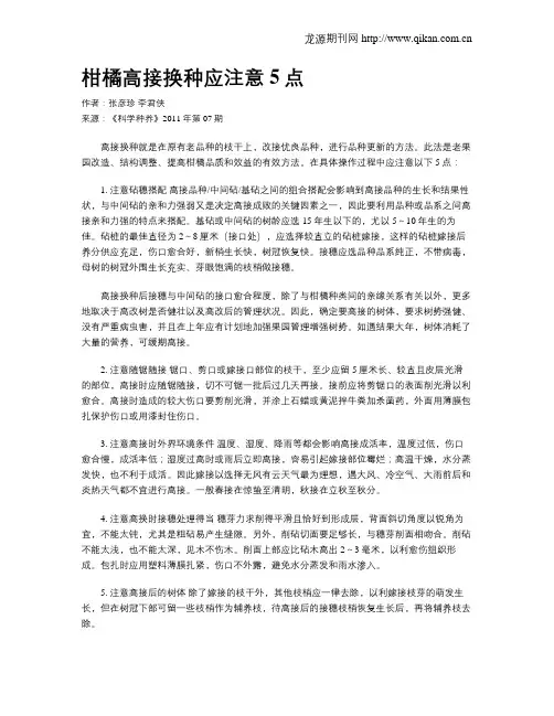 柑橘高接换种应注意5点