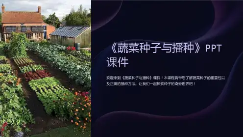 《蔬菜种子与播种》课件