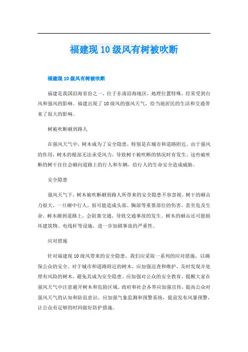福建现10级风有树被吹断