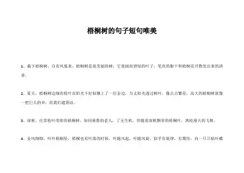 梧桐树的句子短句唯美