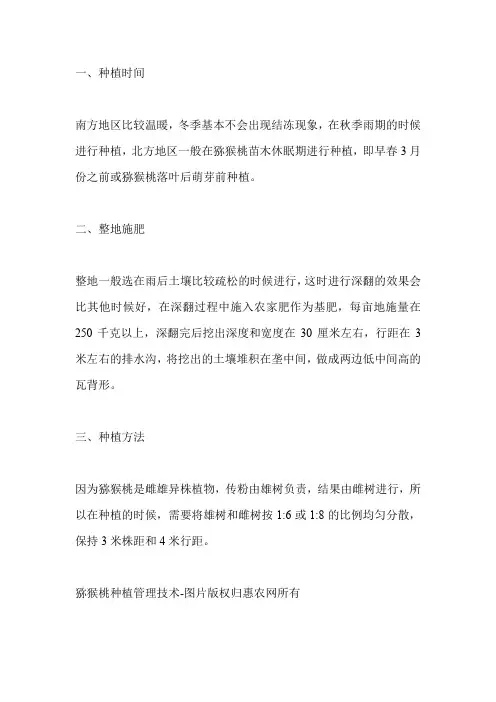 猕猴桃树的种植与管理技术