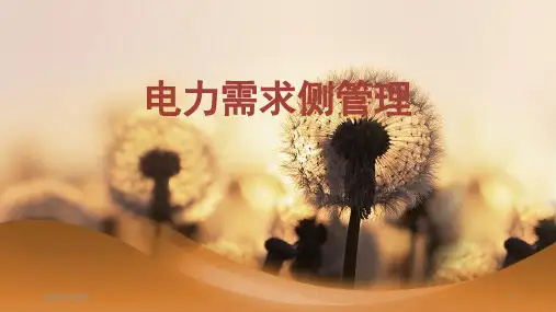 电力需求侧管理(修订版)PPT课件