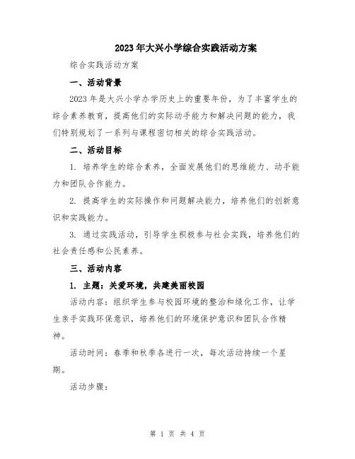 2023年大兴小学综合实践活动方案