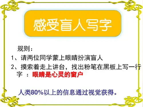 眼与视觉课件-精品课件