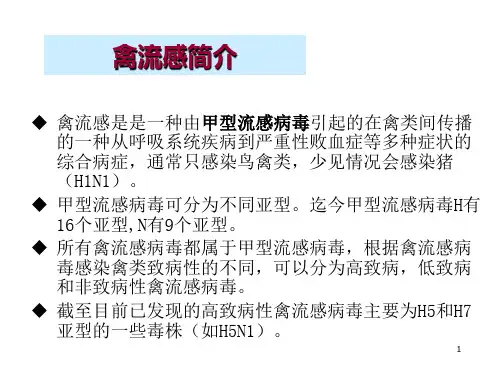 禽流感病毒稿-PPT文档