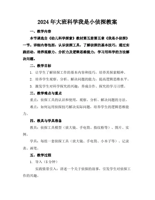 2024年大班科学我是小侦探教案