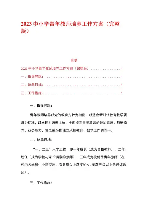 2023中小学青年教师培养工作方案(完整版)