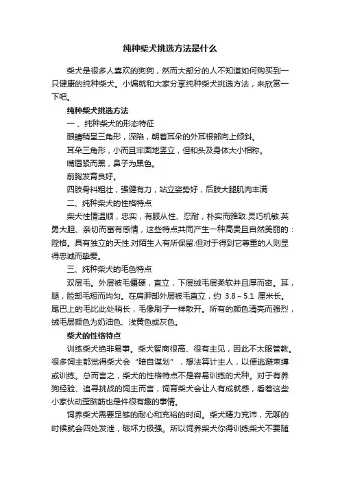 纯种柴犬挑选方法是什么