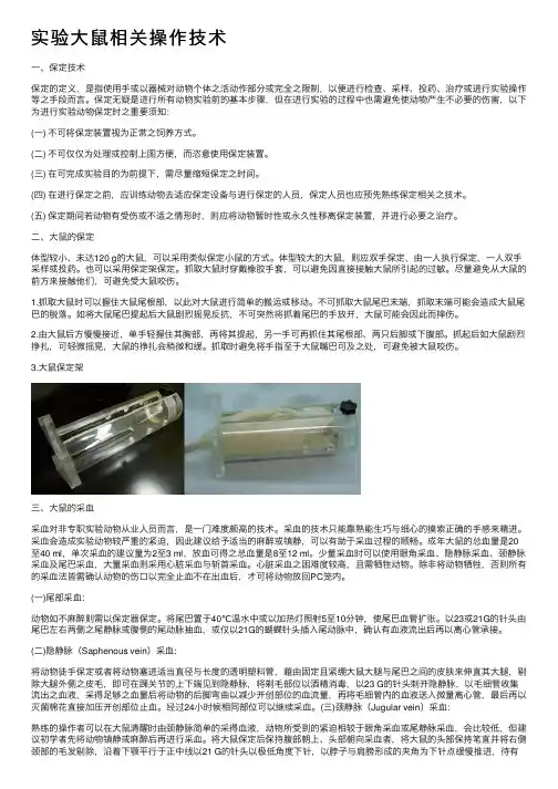 实验大鼠相关操作技术