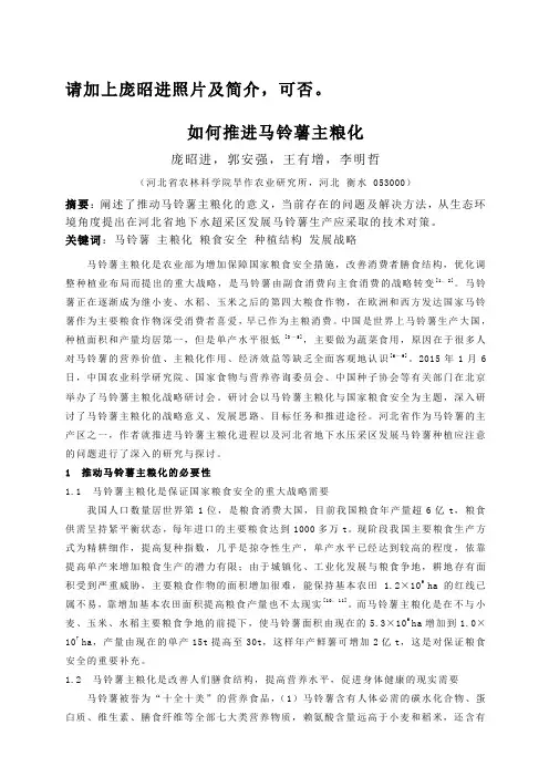 如何推进马铃薯主粮化-庞昭进